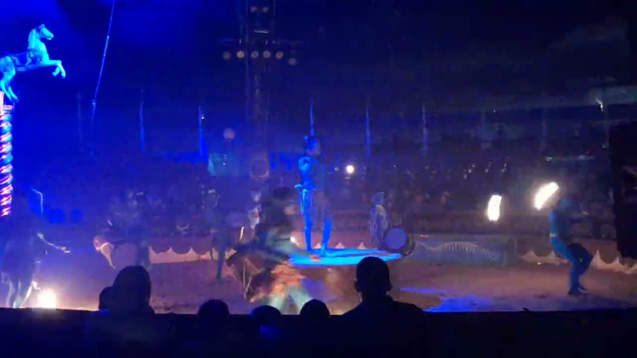 سيرك عمار الأغواط 2022جزء الأول