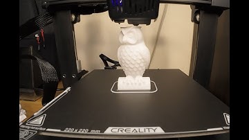 Ender 3 V3 SE Incredible 3D Model Printing | Watch a 1-Hour Timelapse with Original Printer Sounds!