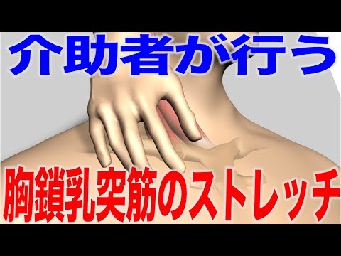 寝たきりの人への嚥下体操 胸鎖乳突筋のストレッチ 口腔ケアチャンネル 1413 口腔ケアチャンネル2 1085 Youtube