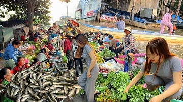 Xuất hiện đặc sản mùa nước nổi vùng núi biên giới Campuchia - Cá Linh Non 200K chợ Nhà Bàng