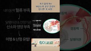 '귀가 울리거나 바람소리' 같은 증상이 있다면! 꼭 시청!