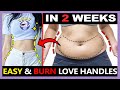 10 MIN EASY LOVE HANDLES & MUFFIN TOP WORKOUTS FOR TINY WAIST | 2 WEEKS ABS FOR BEGINNER