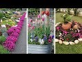 70 примеров как красиво устроить Клумбу в саду и у дома