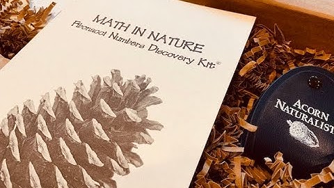 STEM Series: Math in Nature