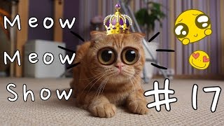 Meow Meow Show #17