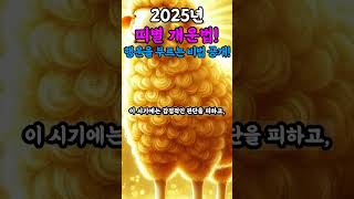  2025년 양띠 개운법 대공개! #2025운세 #인연운 #재물운