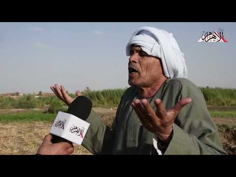 مأساة إنسانية تهدد الأراضي الزراعية بقرية عرب العيايدة والأهالي يطالبون المسئولين بالتدخل