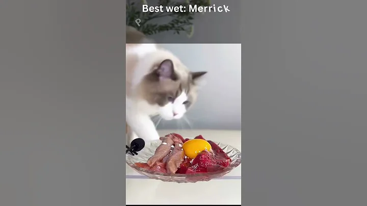 What are the top 4 healthiest cat foods?- The Results Will Surprise You! #shorts