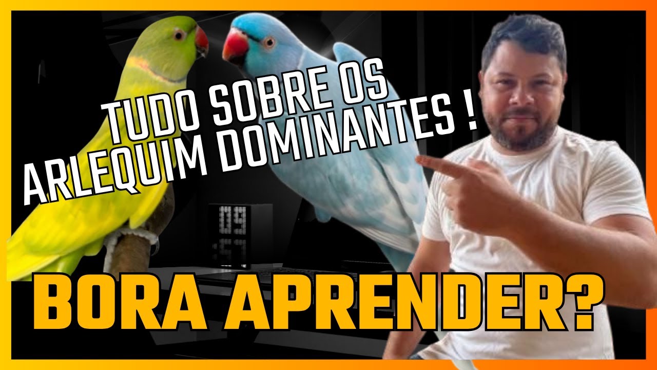 Tudo sobre os ring neks arlequim dominante