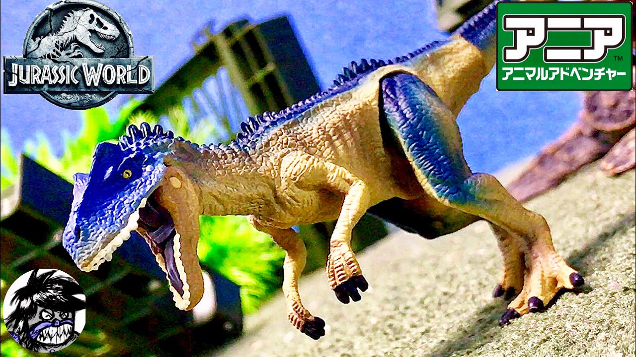 アニア ジュラシックワールド アロサウルス Jurassic World Ania Animal Adventure Allosaurus Youtube アニア ジュラシックワールド アロサウルス Jurassic World Ania Animal Adventure Allosaurus Youtube