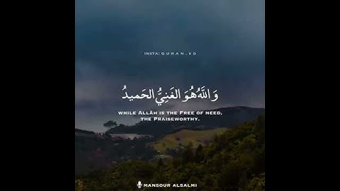 قران كريم ١٥ ثانيه