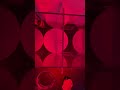 Experiment 2 trial 1