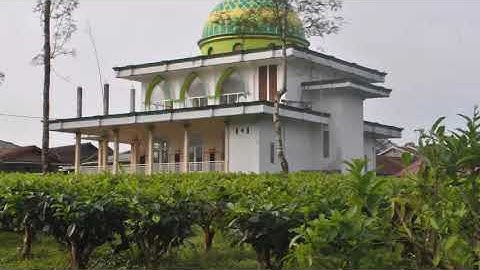 Profil Desa Tlogomulyo, Kertek, Wonosobo