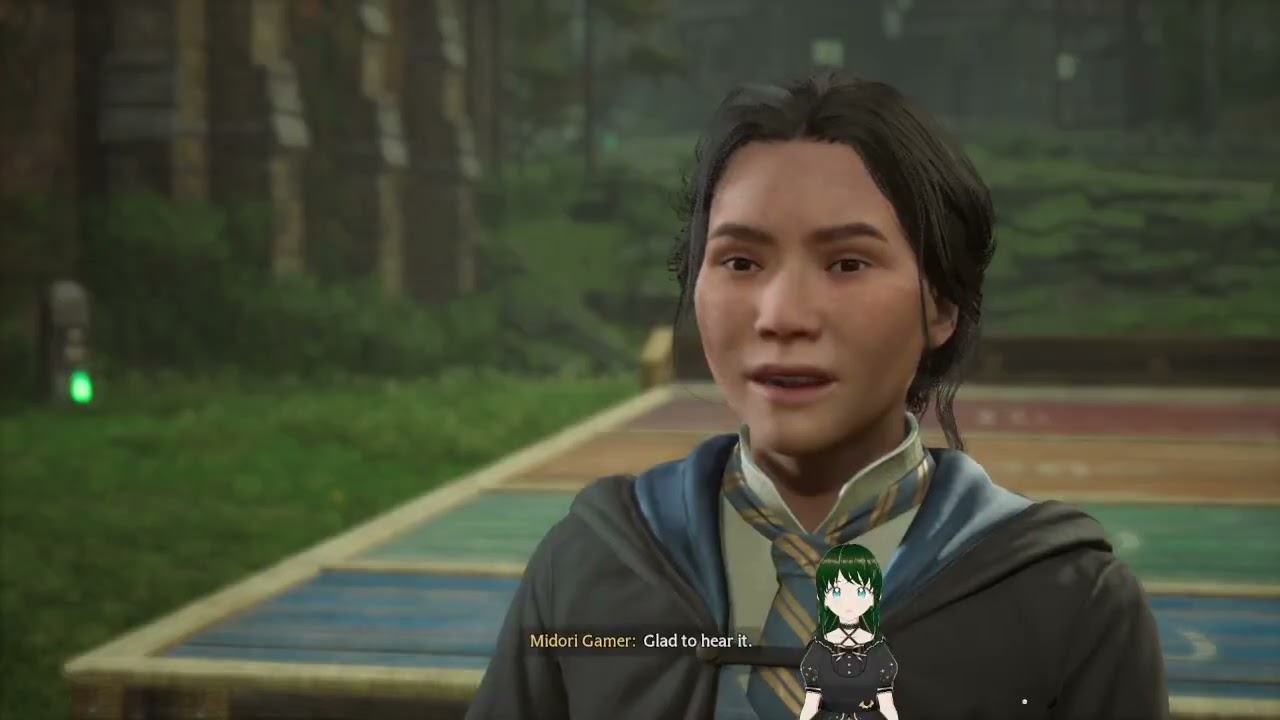 Hogwarts Legacy - Level 40