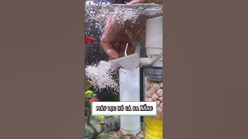 Review máy lọc hồ cá đa năng 6in1 #cacanh77 #aquarium #lọchồcá #filteraquarium #nuoica #shorts