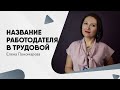 Как правильно писать название работодателя в трудовой книжке - Елена Пономарева