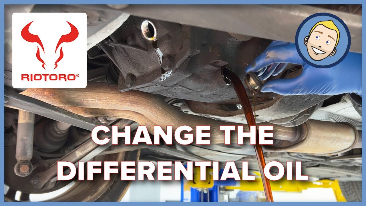 BMW E46 Differential Oil Change 330Ci, 325, 330, 318 YouTube