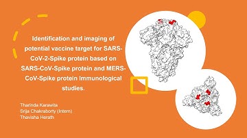 Bioinformatics for Infectious Diseases Independent Project: Potential vaccine target SARS CoV2 Spike