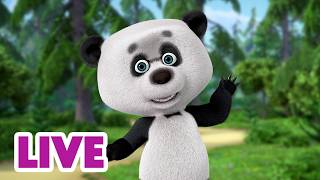 🔴 LIVE STREAM 🎬 Masha and the Bear 🦨🐧 I’m Black and White, Who Am I? 🐼🦓