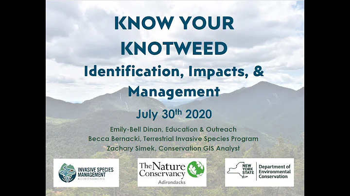 Know Your Knotweed - Identification, Impacts, and Management