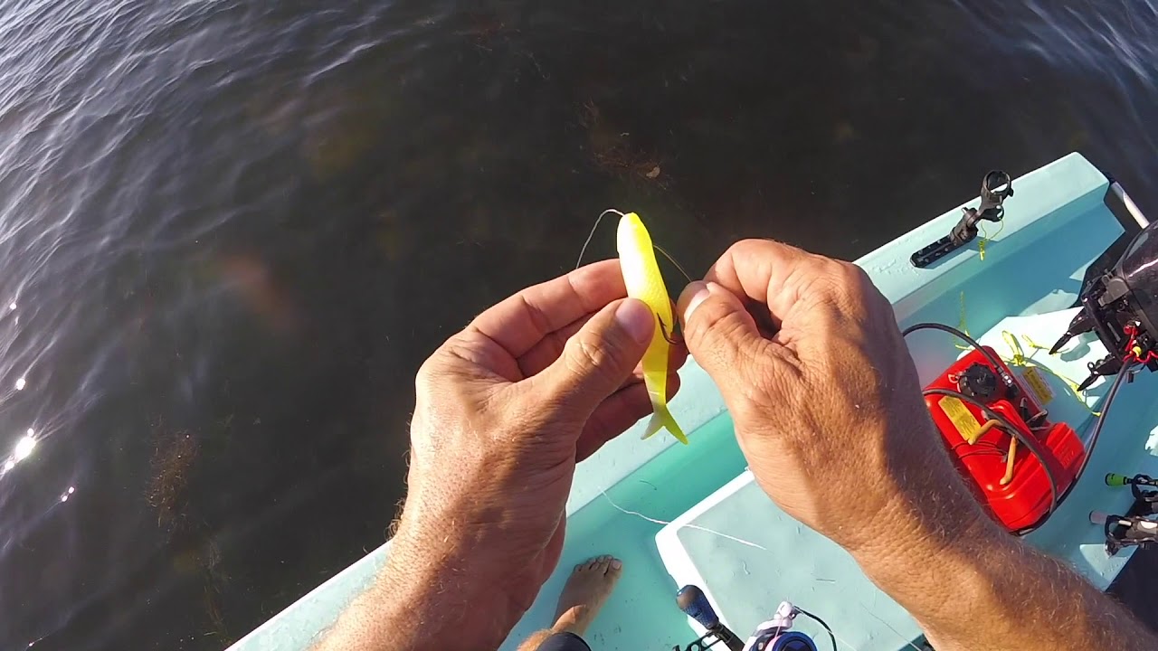 How to Use the Strike King Blade Minnow for Saltwater 