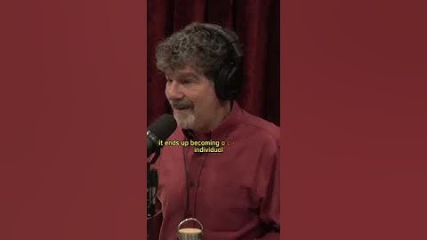 Joe Rogan ChatGPT scary future ⧸w Bret Weinstein #shorts #podcast #joerogan #jre #rogan #chatgpt #ai