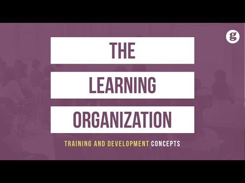 The Learning Organization