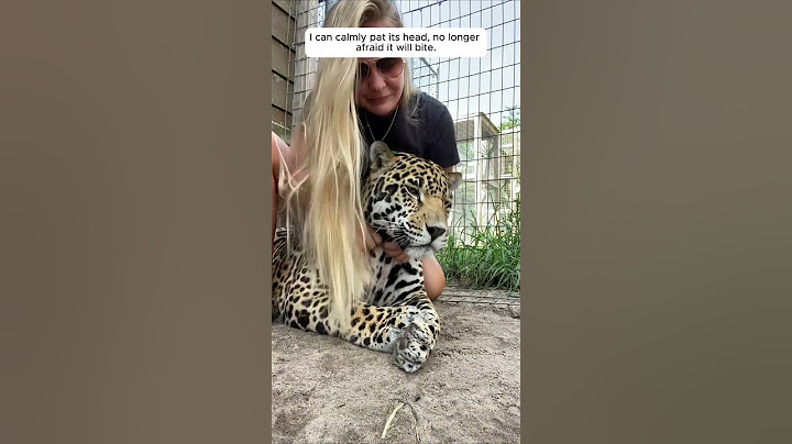 I saw a leopard that was so badly hurt it was too weak to even move by itself !!!