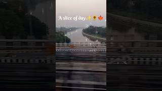 A slice of day ✨🌻🍁#viral #trending #youtubeshorts #explore #algorithm #reels #shorts #viralvideo