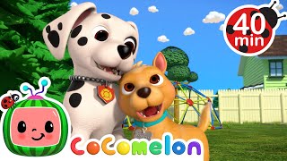 Puppy Play Date | Animal Time | CoComelon Nursery Rhymes & Kids Songs by Animal Songs with CoComelon 81,233 views 2 months ago 38 minutes