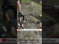 K9 Police Dogs Arrest