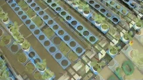 LemnaTec Plant Phenotyping System at Agrobios