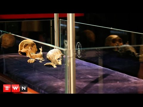 Video: Pozostatky Homo Naledi Môžu Zmeniť Myšlienku ľudskej Evolúcie - Alternatívny Pohľad
