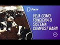 Programa Vida no Campo 29/09/19 - Veja como funciona o sistema Compost Barn