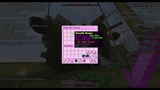 CubeCraft Java Screenshots - December 28, 2022