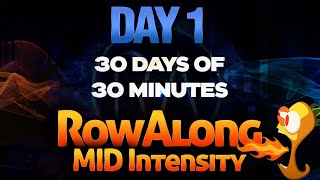 30 days of 30 minute Rows - Day 1 - Alternating 24/20 stroke rates - Indoor Rowing Workout screenshot 3