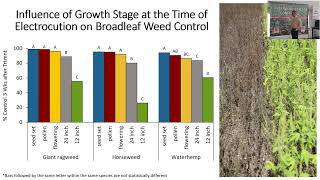 Non Conv Weed Mgt Tools for use in Conv Minded Ag Systems