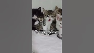 Every pledge you make is highly appreciated donate though the link in the bio