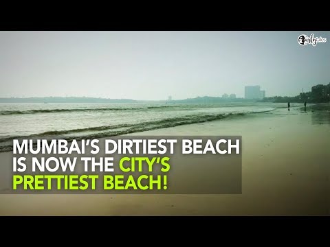 This Beach In Mumbai Is The Most Beautiful Beach In The City | Curly Tales
