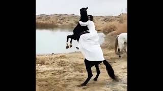 лошадь или девушка