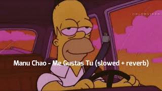 Manu Chao - Me Gustas Tu (slowed + reverb)