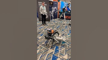 Unitree Robot Dogs!! #robot #robotics #ai #robotdogs #technology