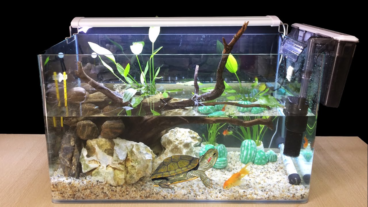 DIY Turtle Aquarium Fish Tank Setup - How To Make Turtle Tank At