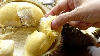 ВОНЮЧИЙ КОРОЛЬ ТРОПИЧЕСКИХ ФРУКТОВ: ДУРИАН. Durian