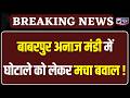 Panipat News: आधिकारिक खरीद न होने के बावजूद अवैध रूप से धड़ल्ले से उतारी जा रही मक्के की फसल।