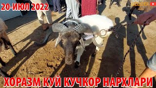 ХОРАЗМ КУЙ КУЧКОР НАРХЛАРИ  20-ИЮЛ 2022