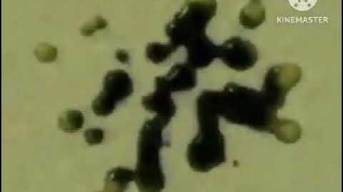 Preview 2 RSTOT824HDSTUFF V24 Effects^3