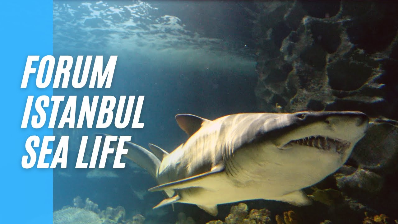 Centre Commercial & Aquarium à ISTANBUL