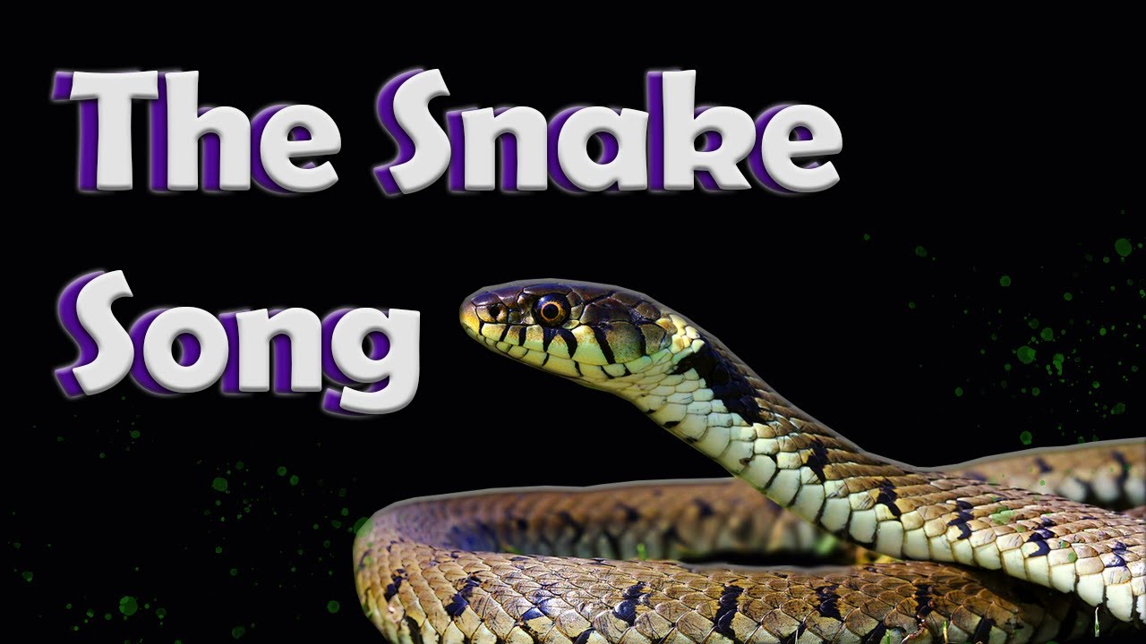 The Snake Song || Reptile Raps - YouTube