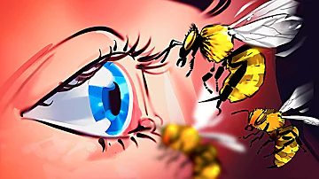 ¿Qué hacer si te persigue una abeja?